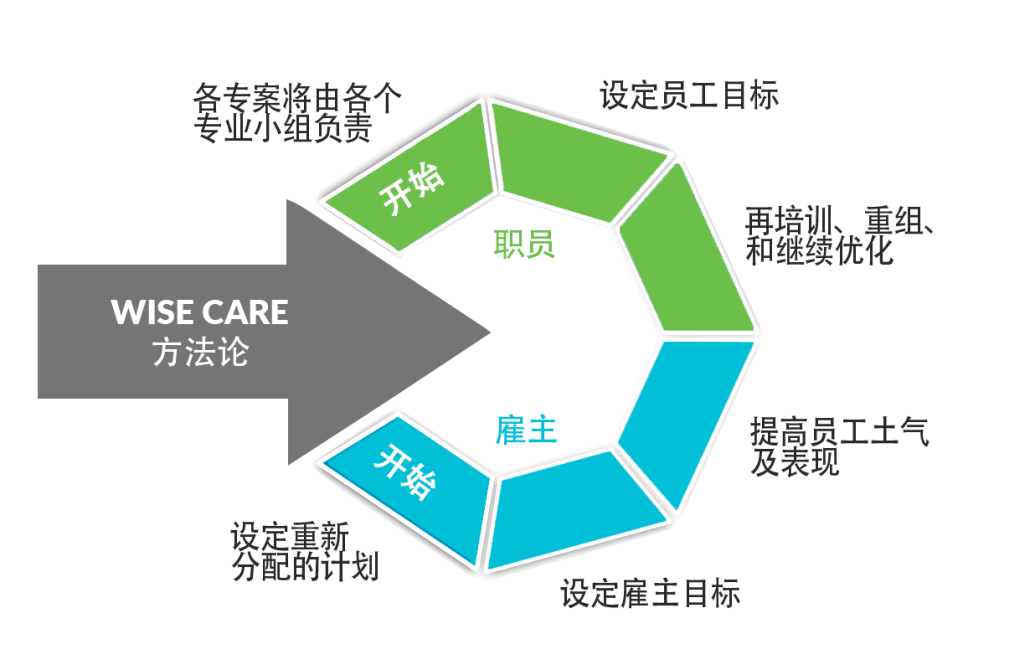 wisecare方法论
